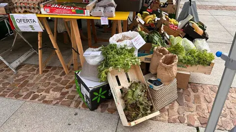 Imagen de WhatsApp 2024-10-19 a las 12.52.45_98538995