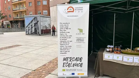 Imagen de WhatsApp 2024-10-19 a las 12.52.44_331eba6f