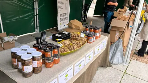 Imagen de WhatsApp 2024-10-19 a las 12.52.43_c53e3a6f