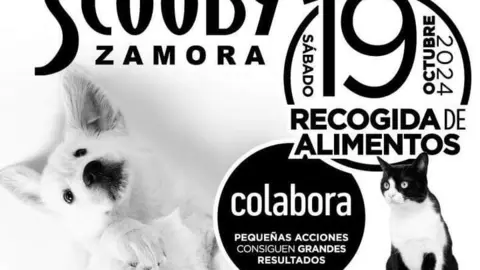 Scooby Recogida Alimentos