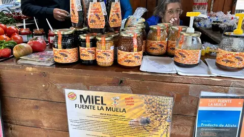 Imagen de WhatsApp 2024-10-19 a las 13.27.09_b914f3c3