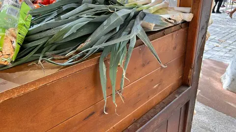 Imagen de WhatsApp 2024-10-19 a las 13.27.06_c05dcc0d