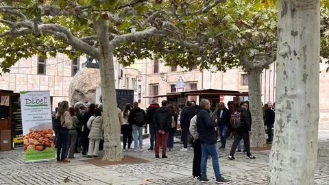 Imagen de WhatsApp 2024-10-19 a las 13.27.05_a6d872a7