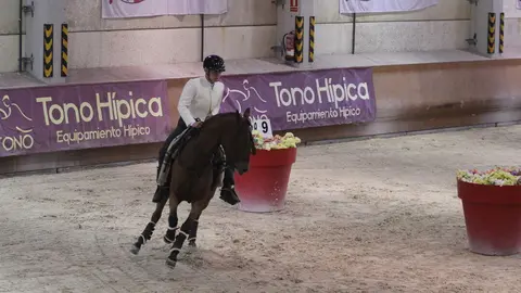 Cristian Castro Mirantes y Gallito (1)