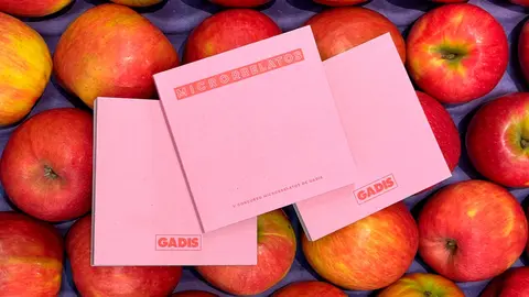 GADIS MICRORRELATOS 1