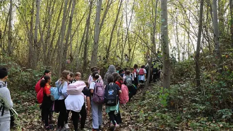 alumnos y profesores del Colegio Milagrosa de Zamora se sumergi&oacute; en la naturaleza durante una visita a la Ruta Ribera Santiba&ntilde;esa (2). image de archivo
