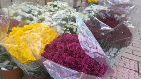 flores Todos Los Santos
