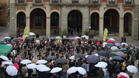 Escuela de Baile Salson _10