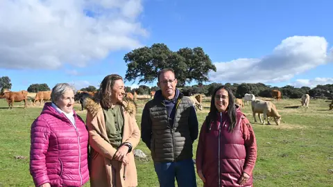 Presentación de la convocatoria de ayudas