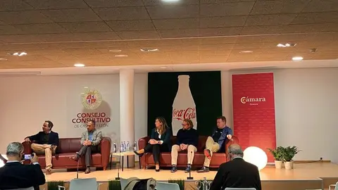 Comercio&Cocacola Zamora_2