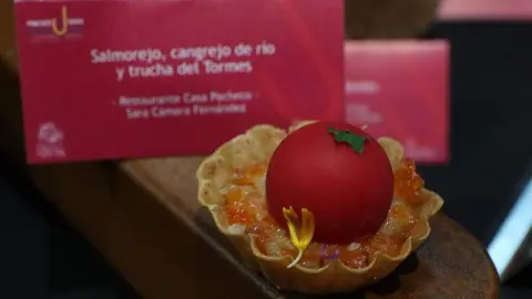 Concurso Oficial de Pinchos y Tapas _13