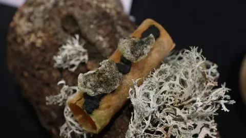 Concurso Oficial de Pinchos y Tapas _14