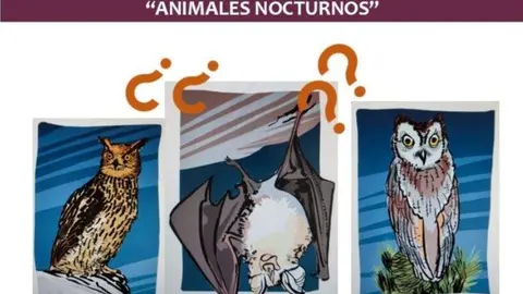 Taller Educación Ambiental