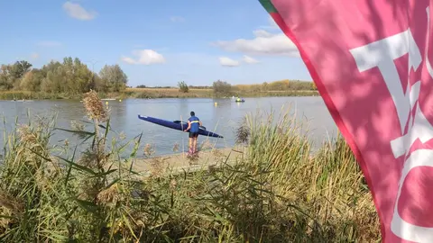 Imagen de WhatsApp 2024-11-02 a las 13.08.48_183cbde4