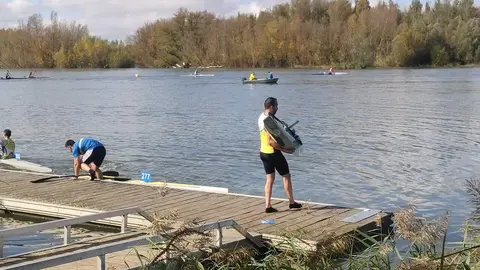 Imagen de WhatsApp 2024-11-02 a las 13.07.28_99ee859f