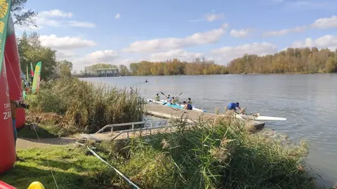 Imagen de WhatsApp 2024-11-02 a las 13.06.12_9abf5fac