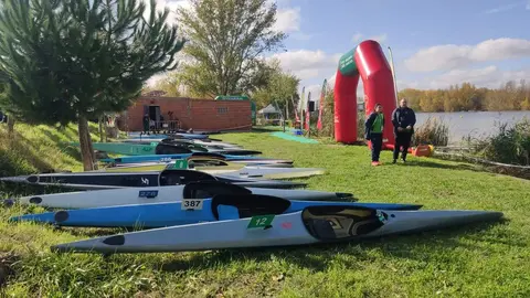 Imagen de WhatsApp 2024-11-02 a las 13.03.30_63a4c77b