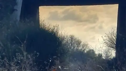 Incendio C.Salamanca