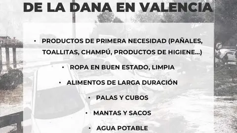 Recogida material VOX Zamora