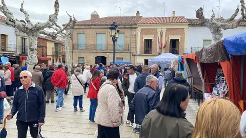Fuentesauco Feria Santos (2)