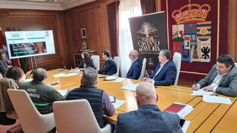 Mesa del Castaño Zamora