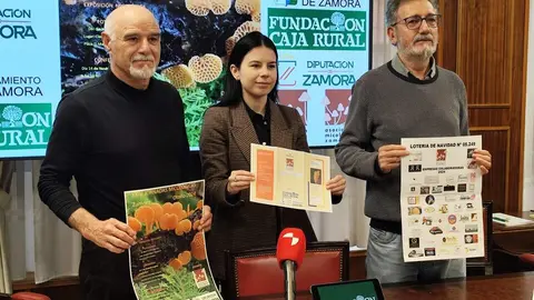 Imagen de WhatsApp 2024-11-08 a las 11.46.35_7c30e657