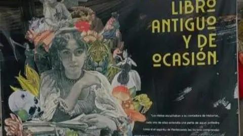 Imagen de WhatsApp 2024-11-08 a las 12.27.55_f64f31ea
