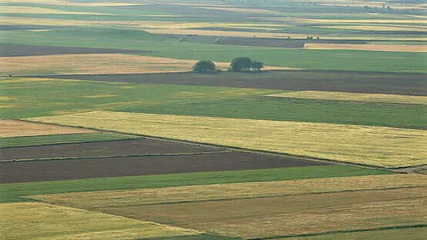Tierra de Campos