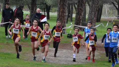 cross zamora Valorio 2024_71