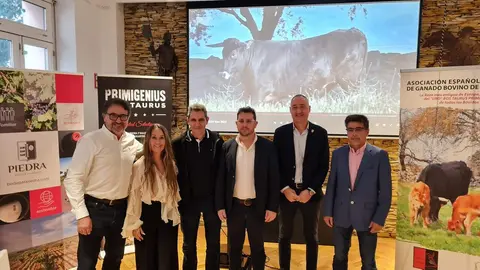 Bos Taurus Zamora