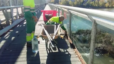 arreglo pasarela puente de hierro