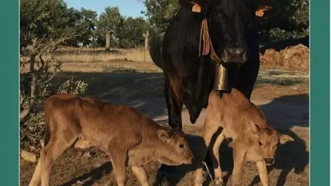 Curso Villar del Buey