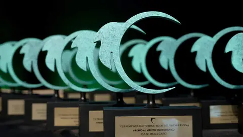 VII_PREMIOS_ACEVIN_galardones. copy Ricardo Domingo