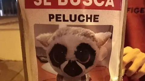 Peluche perdido