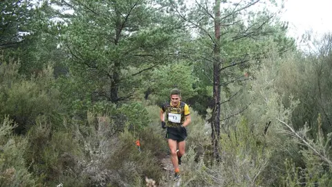 La Muy Silvestre de Codesal