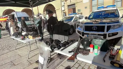 Fermoselle Livex Lobo 24 1