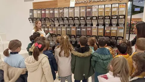 GADIS PROGRAMA ALIMENTES 2024-2025