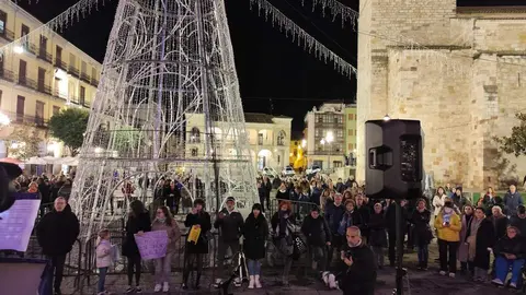 Homenaje a las víctimas de violencia de género en la Plaza mayor de Zamora