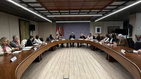 comisión violencia de género