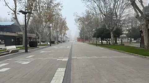 Niebla en Zamora_5