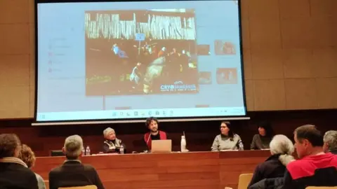 Jornadas Internacionales de Mascaradas y Mujeres