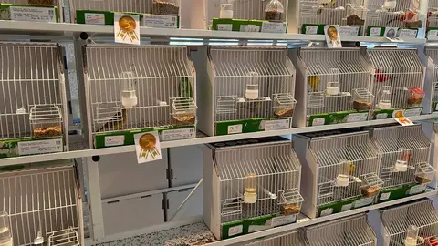 clausura del XLIII Concurso-Exposición Ornitológico
