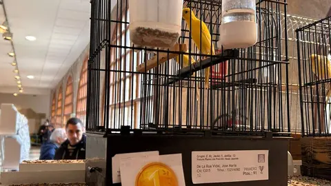 clausura del XLIII Concurso-Exposición Ornitológico
