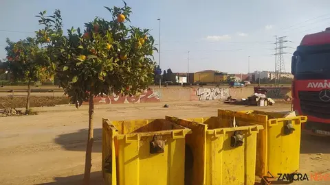Valencia paiporta Ribarroja Algemesí_120 - copia