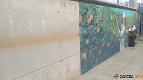 Valencia paiporta Ribarroja Algemesí_97 - copia