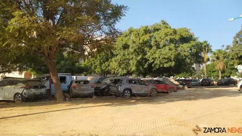 Valencia paiporta Ribarroja Algemesí_86 - copia