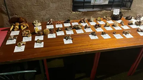 Jornadas Gastronómico-Micológicas de Pozuelo de Vidriales (1)