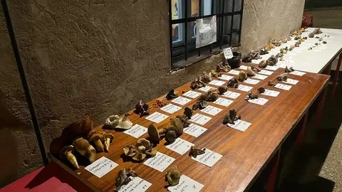 Jornadas Gastronómico-Micológicas de Pozuelo de Vidriales (2)