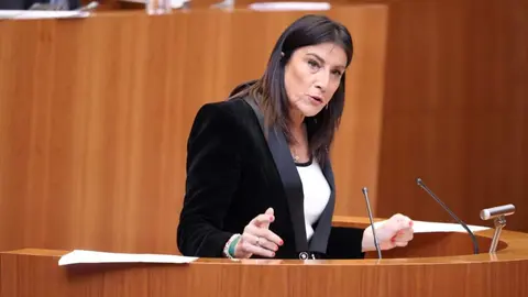 Ana Sánchez en las Cortes de CyL