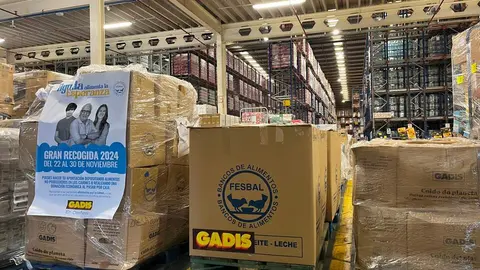 GADIS LA GRAN RECOGIDA 2